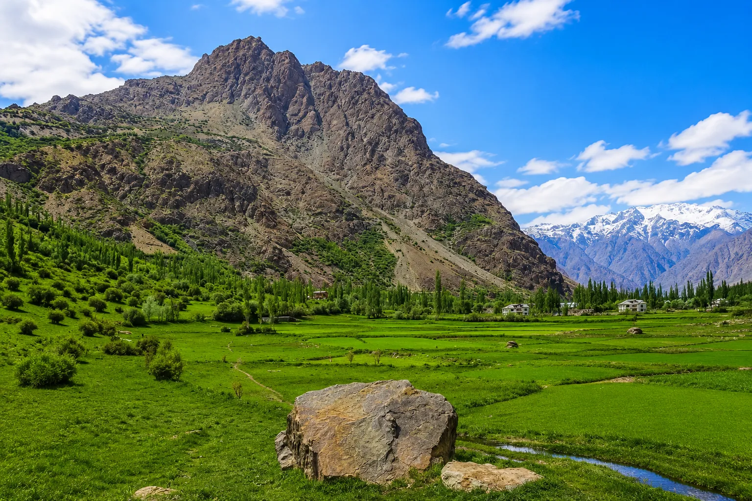 Suru Valley in summer with green meadows and snow-capped Nun Kun peaks Kargil Ladakh